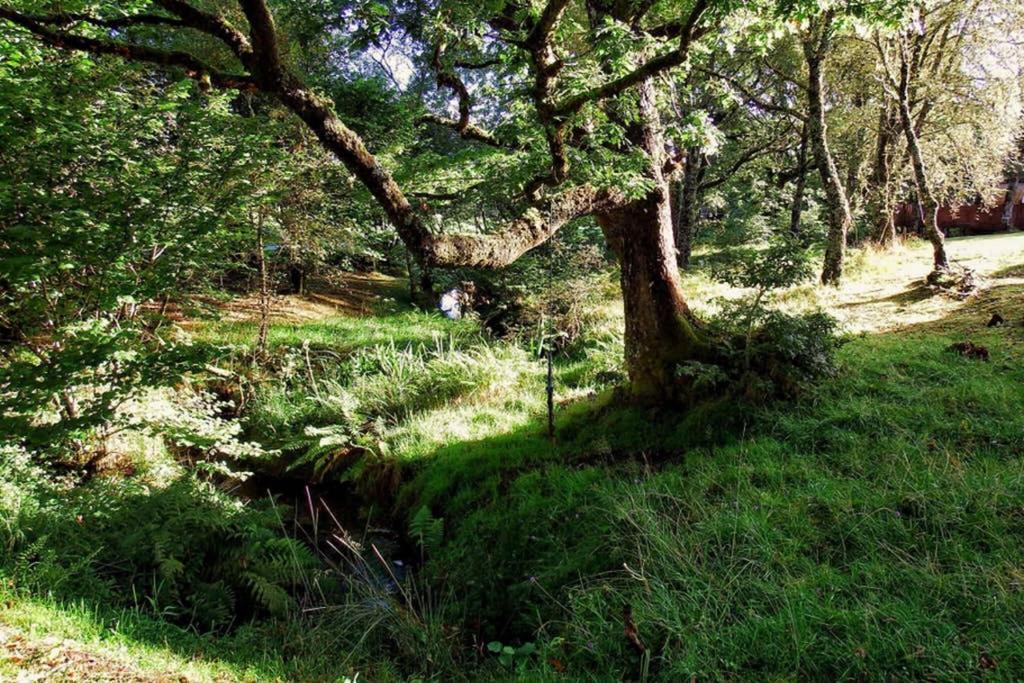 Fern Lodge Dalavich エクステリア 写真