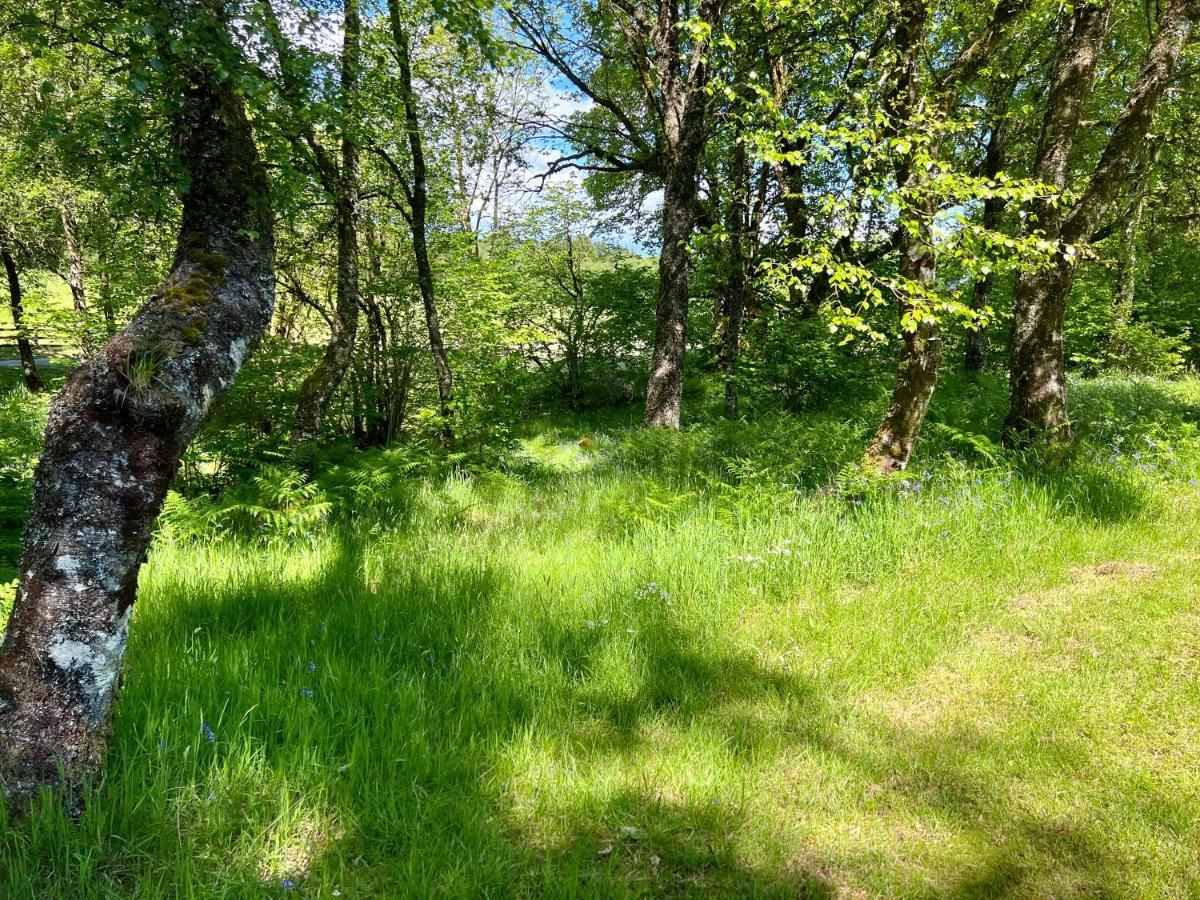 Fern Lodge Dalavich エクステリア 写真